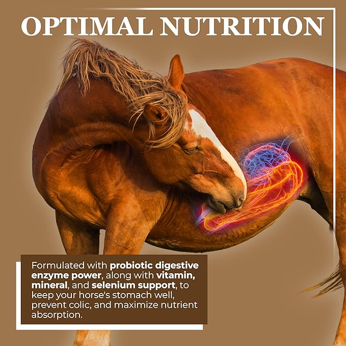Equerry's Economy Equine Supplement - Horse Probiotics | Supplement for Horses | Horse Vitamins and Minerals Supplement with Enzymes and Selenium, 10lb