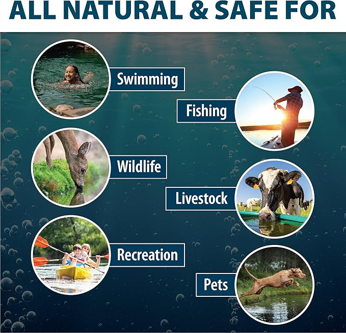 Airmax Black DyeMond Pond Dye Packets Natural Water Colorant for Ponds, Beneficial UV Blocking Color Concentrate, Maintain Clean & Clear Water, Fish, Bird & Animal Safe, 16 Packet