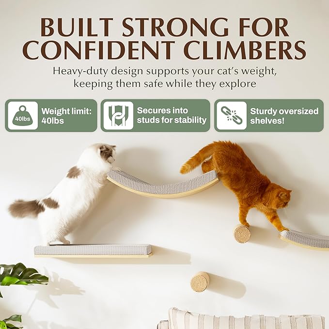 Extra Large 23.6”x12.6” CALLICO HAVEN- Stylish Cat Wall Shelves with Cushion, Modern Wall-Mounted Cat Tree Furniture, Window Cat Shelf & Perch, Sturdy/Hidden Mounts, Washable Cover - Flat Shape