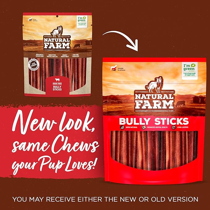 Natural Farm Odor-Free Thin Bully Sticks (12”, 12-Pack) All-Natural Long-Lasting Dog Chews, 100% Beef Pizzle, Grass-Fed, Grain-Free, Protein for Muscle Development & Energy, Perfect for Large Dogs