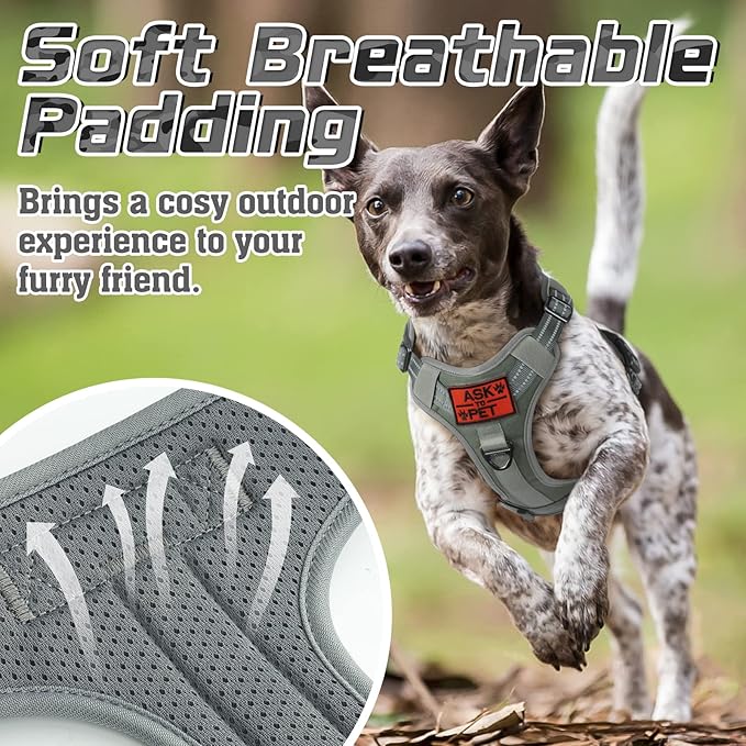 rabbitgoo Tactical Dog Harness for Small Dogs, No Pull Military Service Vest with Handle & Molle, Easy Control for Training Walking, Adjustable Reflective Straps, Dark Grey, S