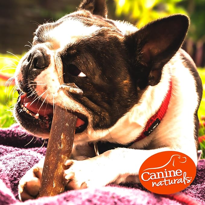 Canine Naturals Peanut Butter Chew - 100% Rawhide Free Dog Treats - Made with Real Peanut Butter - All-Natural and Easily Digestible - 5 Pack of 7 Inch Large Rolls for Dogs 50-75lb