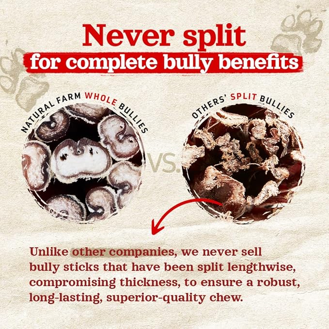 Natural Farm Odor-Free Thick Bully Sticks (12”, 5-Pack) All-Natural Long-Lasting Dog Chews, 100% Beef Pizzle, Grass-Fed, Grain-Free, Protein for Muscle Development & Energy, Perfect for Large Dogs