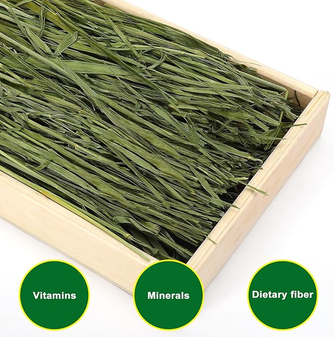 Premium Oat Hay for Pets - Dust Free Natural Green Fresh Pet Food Hay for Rabbits, Guinea Pigs, Chinchillas, Hamsters & Gerbils - 1.1lbs