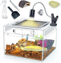 Reptile Tank Kit with Heat Lamp, Spray Bottle, Shovel, Tweezers, Food Bowl, Hideout -Perfect for Geckos, Jumping Spider,Milk Frog,Hermit Crabs,Snakes, Lizards (8''×8''×6'')