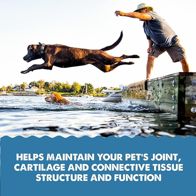 Grizzly Joint Aid for Dogs Liquid Hip and Joint Support (Extra Strength), 32 fl oz