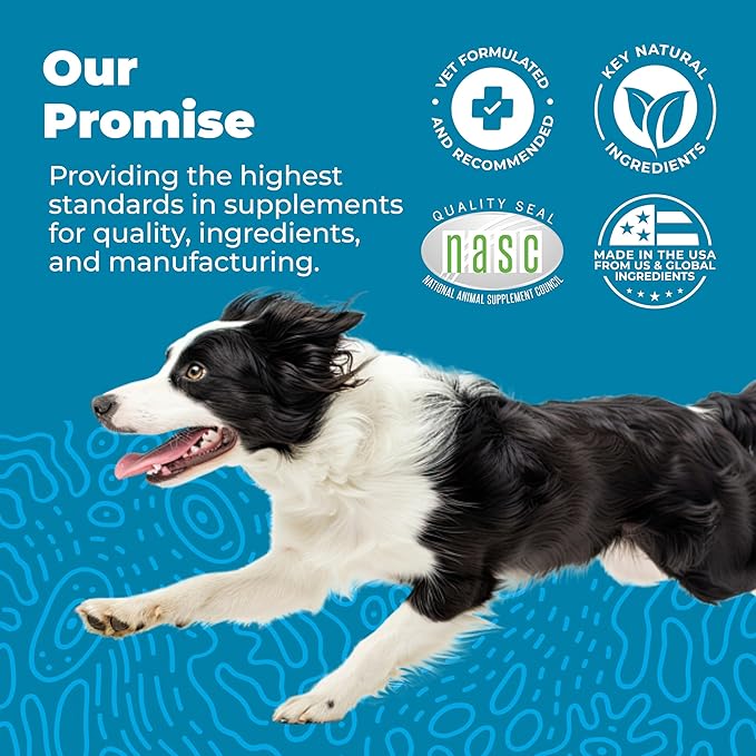 Vetnique Glandex Daily Probiotics for Dogs with Prebiotics to Support Gut Health with Fiber and Digestive Enzymes, Probiotic Chews or Powders (60ct Chews, Bacon Chews)