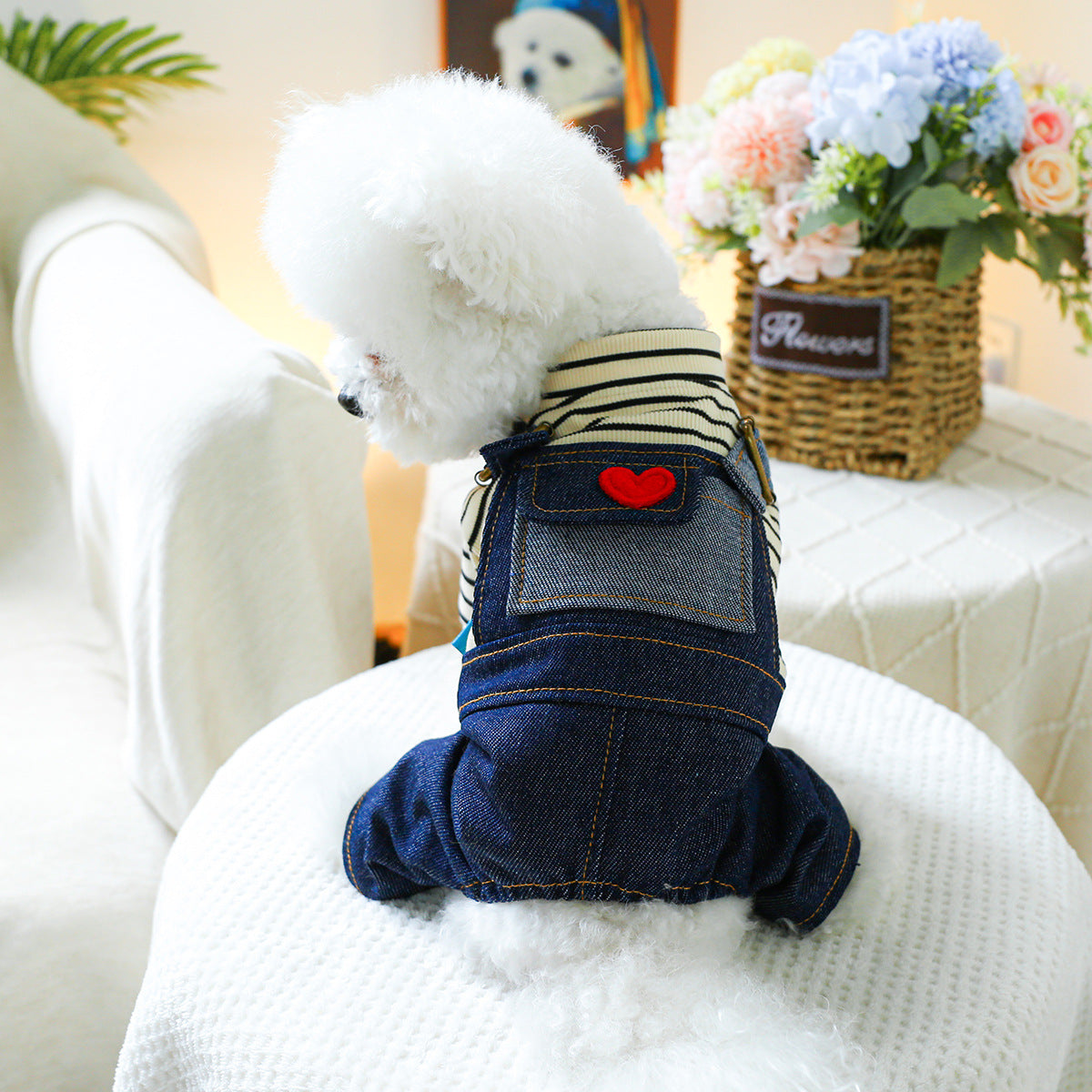Pet Clothes Dog Four Feet Heart Vintage