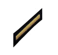 U.S. Army Gold on Blue Male Hashmark