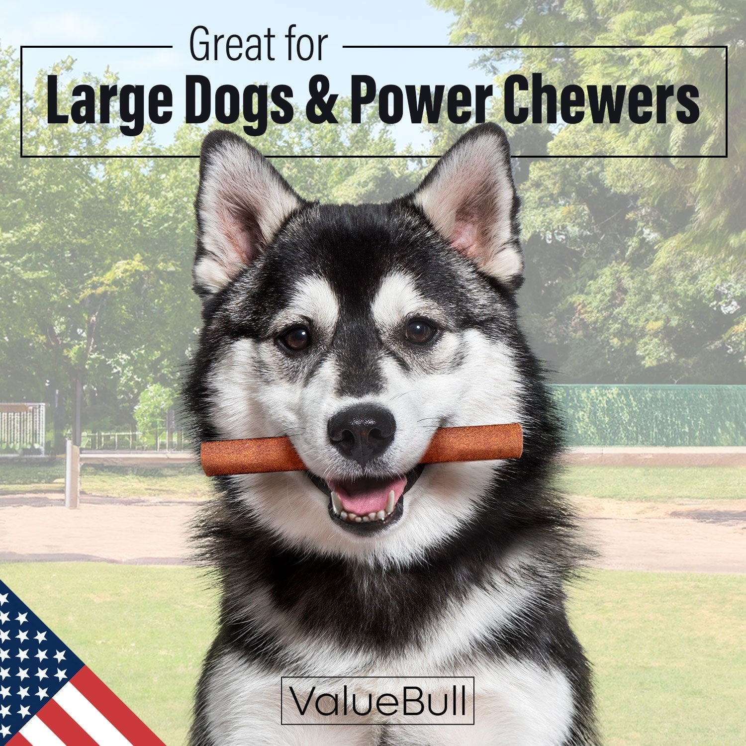 ValueBull USA Collagen Sticks for Dogs, 6 Inch Jumbo Chews, Natural Long-Lasting Dog Treats, 50 Count