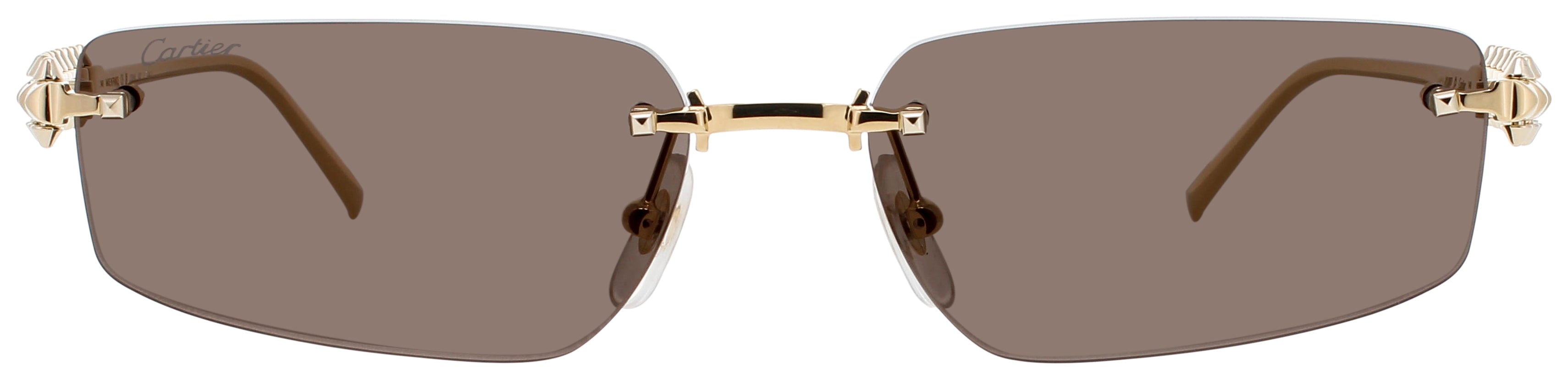 Cartier Ct0544s Sunglasses