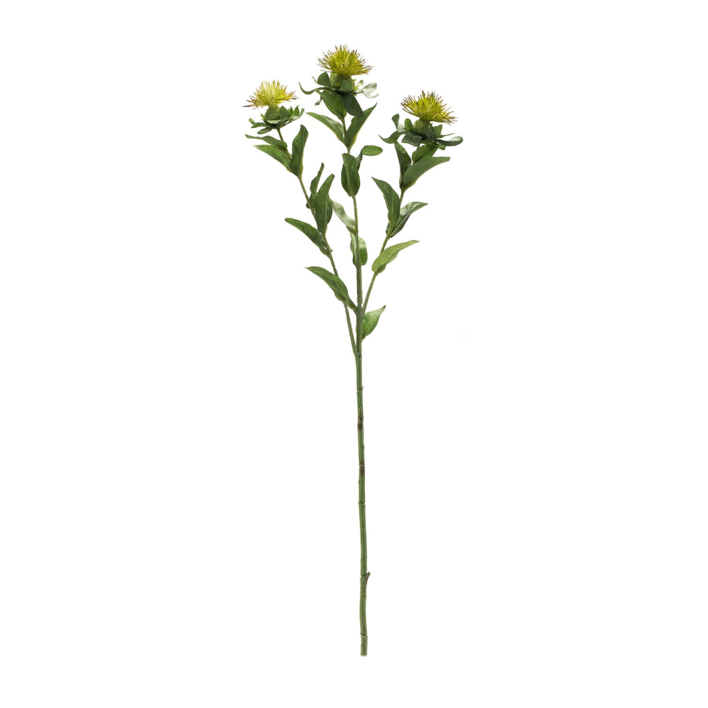 Green Thistle Floral Spray (Set of 6)