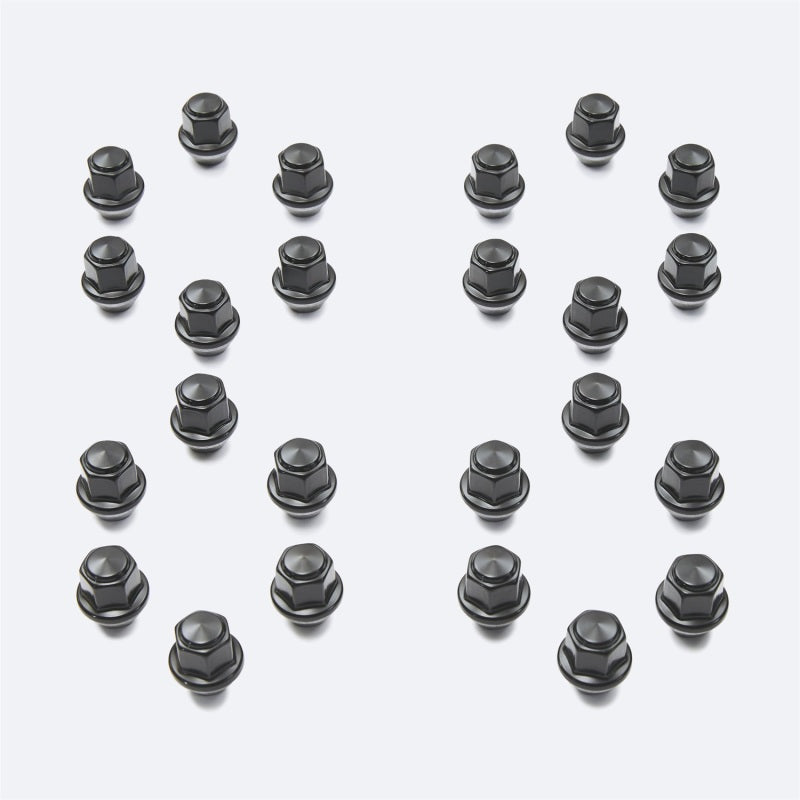 Ford Racing M12 x 1.5 Black Lug Nut - Set of 24 M-1012K-BR