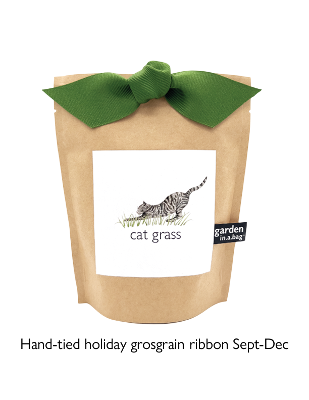 🐱🌱Garden in a Bag | Cat Grass | Spring Pet Treat Gift