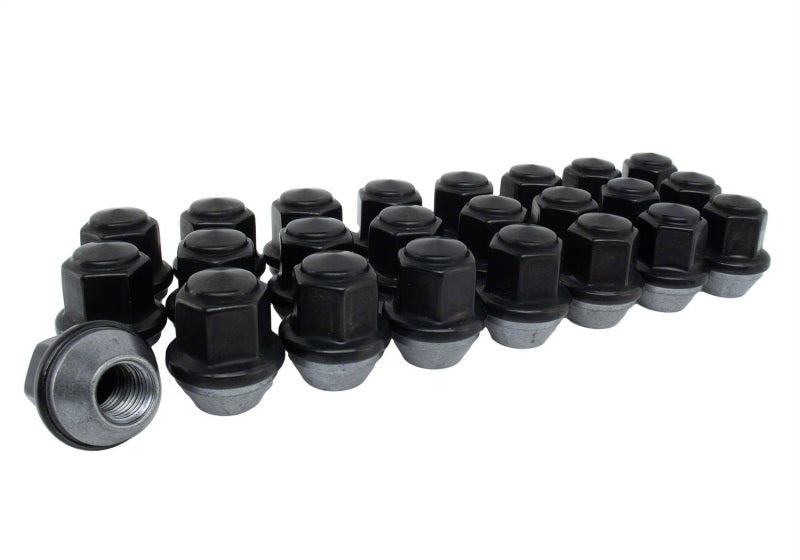 Ford Racing M12 x 1.5 Black Lug Nut - Set of 24 M-1012K-BR