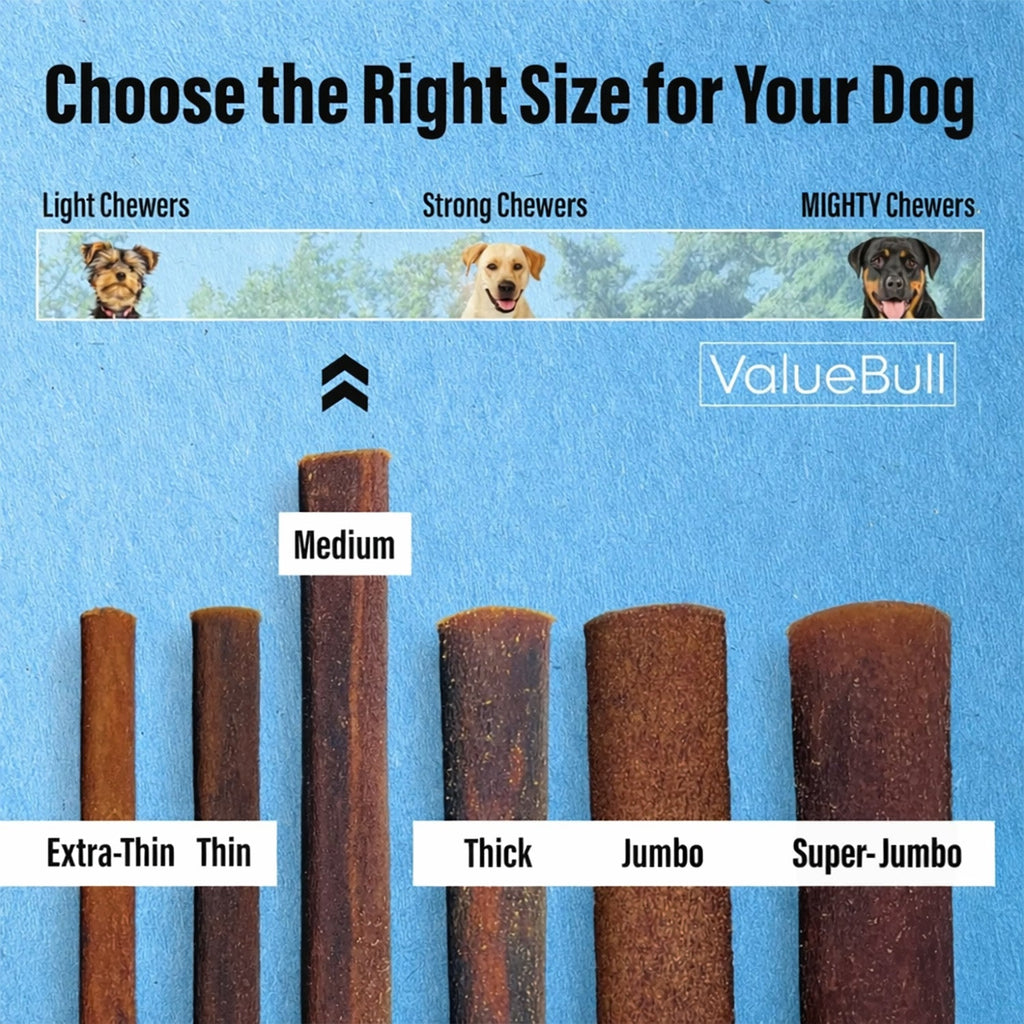 ValueBull Buffalo Collagen Sticks for Dogs, 6 Inch Medium Chews, 10 Count