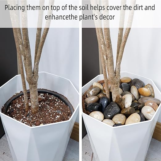 8LB 1" - 2" Decorative River Rocks for Plants, Polished Pebbles for Garden Landscaping, Planters, Aquariums, Vase Fillers – Indoor & Outdoor Decor - PhishStones Products
