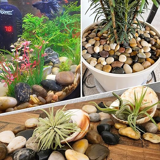 8LB 1" - 2" Decorative River Rocks for Plants, Polished Pebbles for Garden Landscaping, Planters, Aquariums, Vase Fillers – Indoor & Outdoor Decor - PhishStones Products