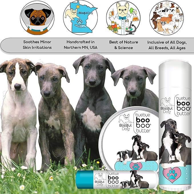 The Blissful Dog Greyhound Boo Boo Butter, 16 oz.