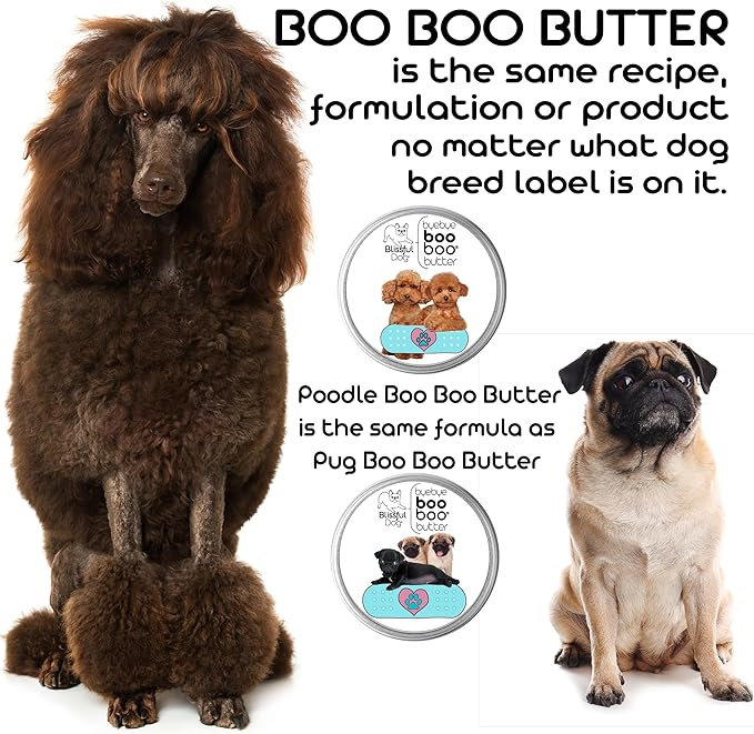 The Blissful Dog Curly-Coat Retriever Boo Boo Butter, 2-Ounce