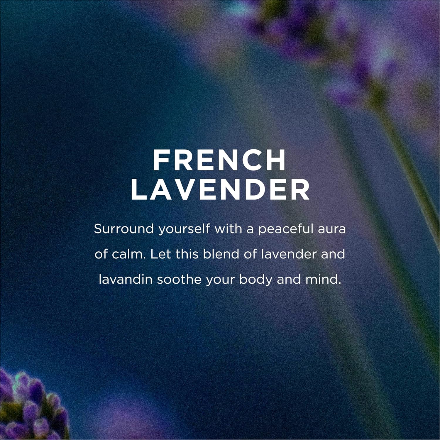 Eo Products -  Liquid Hand Soap Refill - French Lavender (32 Fl Oz)
