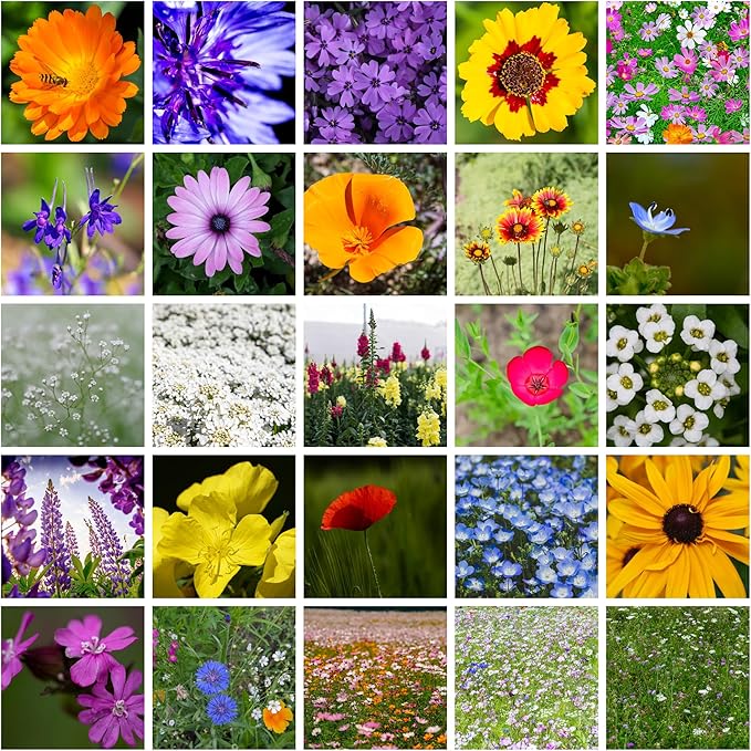All Annual Wildflower Mix Seed for Planting by GreenHaven Gardens - 1 lb Bulk Non-GMO Seed Mix
