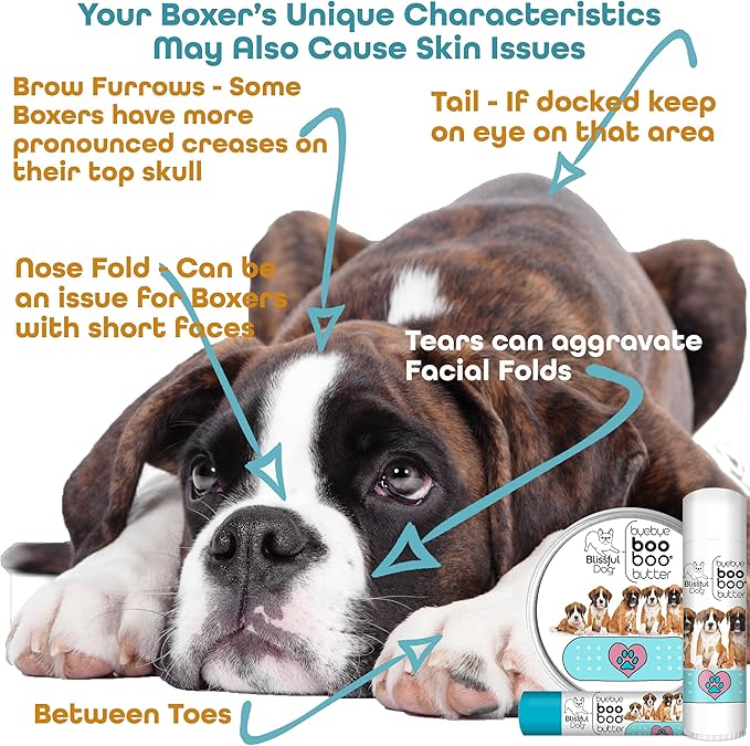 The Blissful Dog 8 oz TIN Boxer Booboo Butter