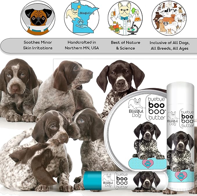 The Blissful Dog .15 oz Tube German Shorthaired Pointer Booboo Butter
