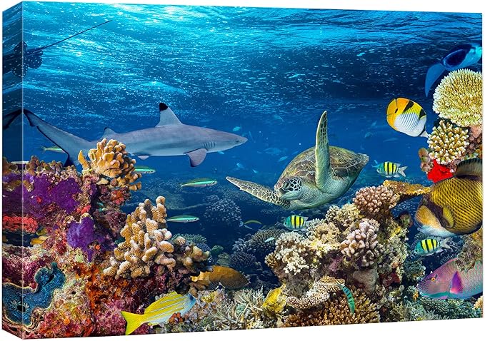 wall26 Canvas Print Wall Art Tropical Island Underwater Turtle Shark Nature Animals Photography Realism Rustic Scenic Landscape Wilderness Earth Colorful for Living Room, Bedroom, Office - 12"x18"
