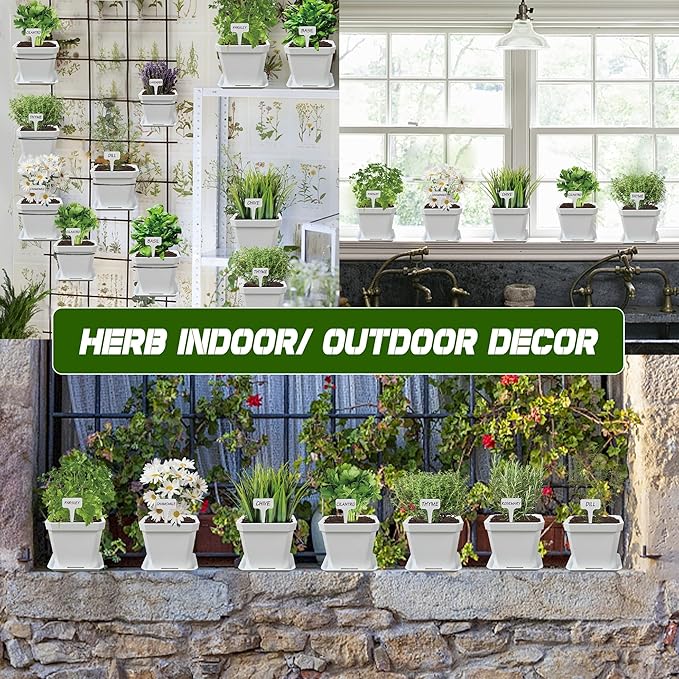 10 Herb Seeds Garden Starter Grow Kit with White Pots, Markers, Nutritional Soil, Watering, Herb Clipper, Complete Indoor Potted Plant Growing Set for Kitchen DIY
