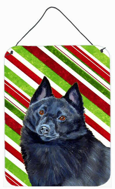 Schipperke Candy Cane Holiday Christmas Wall or Door Hanging Prints Aluminum Metal Sign Kitchen Wall Bar Bathroom Plaque Home Decor Front Door Plaque, 12x16, Multicolor