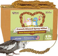 Birds LOVE French Kissed Spray Millet for Birds - Parakeets, Cockatiels, Lovebirds, Finches, Budgies, Canaries, Cockatoos - Natural & Healthy Bird Millet - Parakeet Food & Treats for All Parrots 5lbs