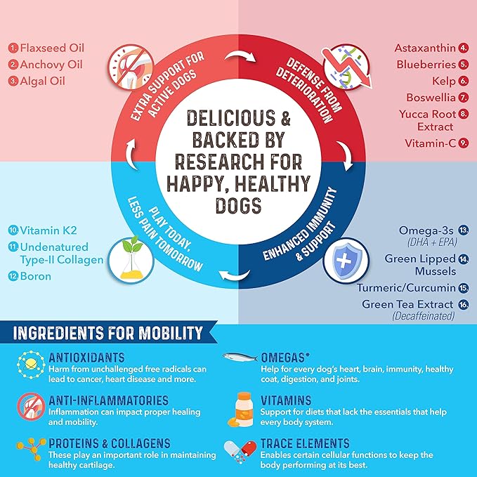 Bernie's Marvelous Mobility - Daily Total Joint Support for Dogs - 90 Soft Chews - Maintain & Rebuild Mobility, Supports Joint Tissue Health