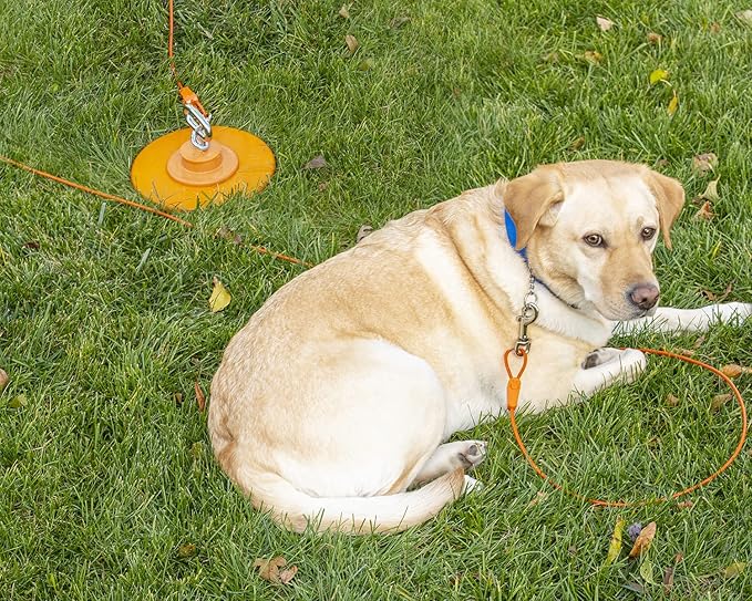 30FT Tie-Out Cables for Dogs - Strong, Safe, and Durable Dog Tie-Outs for Every Breed up to 125 Pounds - Weather and Wear Resistant Galvanized Aircraft Cable for Outside Use