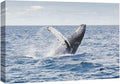 wall26 Canvas Print Wall Art Tropical Ocean Sea Water Horizon Blue Whale Nature Animals Photography Realism Rustic Scenic Landscape Wilderness Colorful for Living Room, Bedroom, Office - 24"x36"