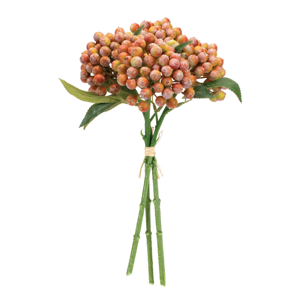 Orange Berry Bundle (Set of 2)