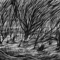 Eternal Marshes