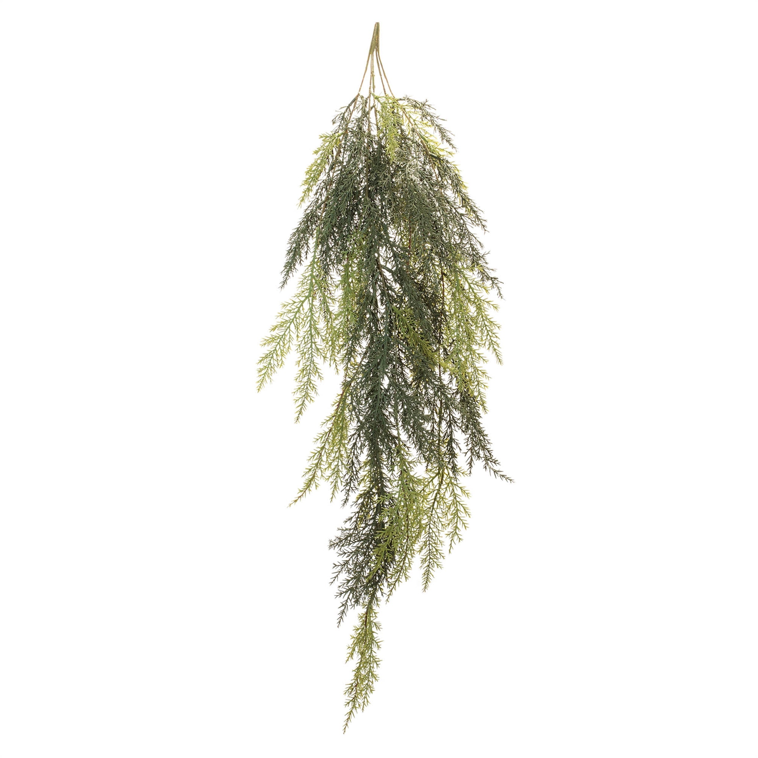 Cedar Hanging Vine (Set of 2)