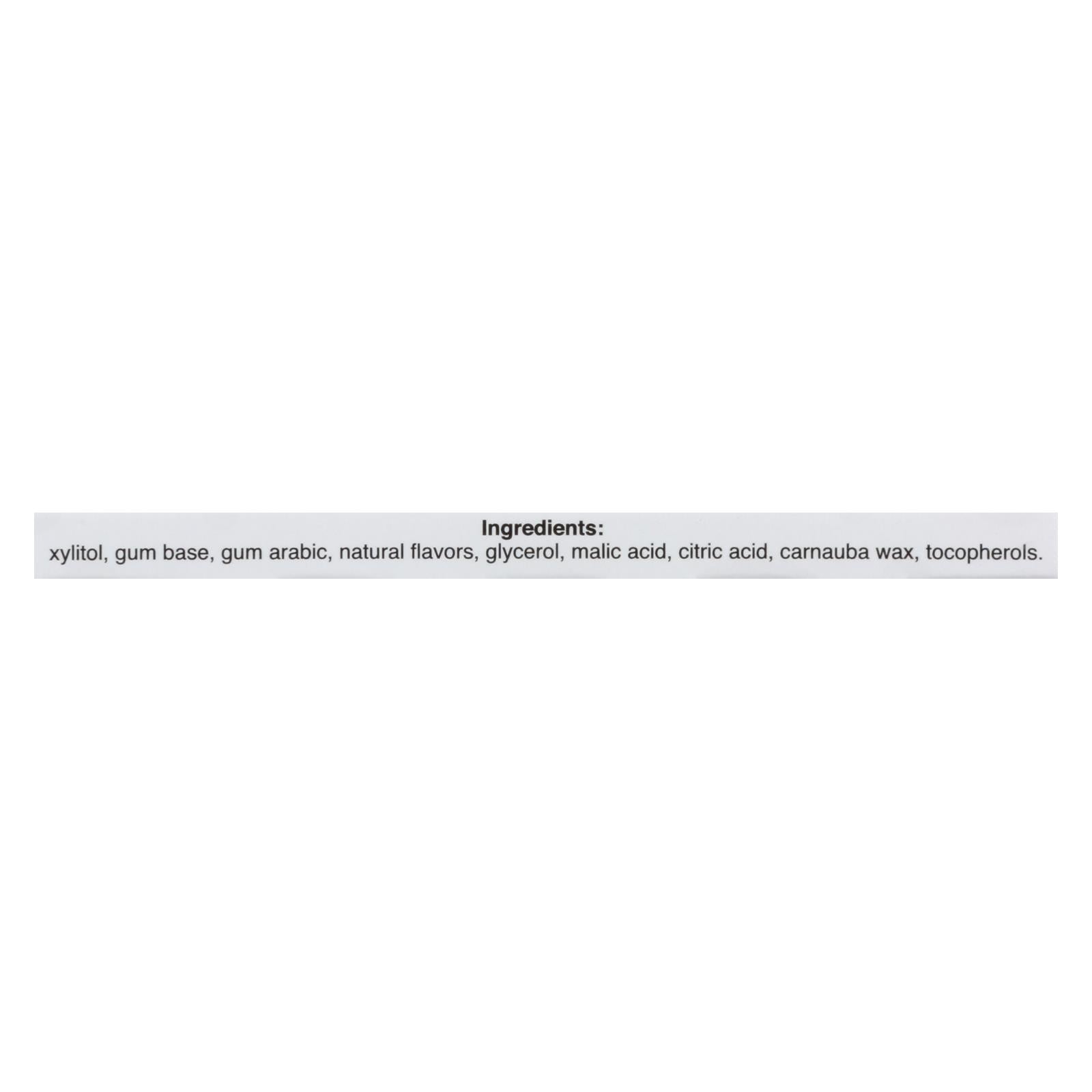 Pur Gum Sugar Free Bubble Gum (9 Count), Case of 12