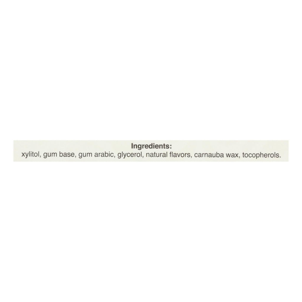 Pur Gum Cinnamon Aspartame Free, 9 Pieces x 12.6g (Case of 12)