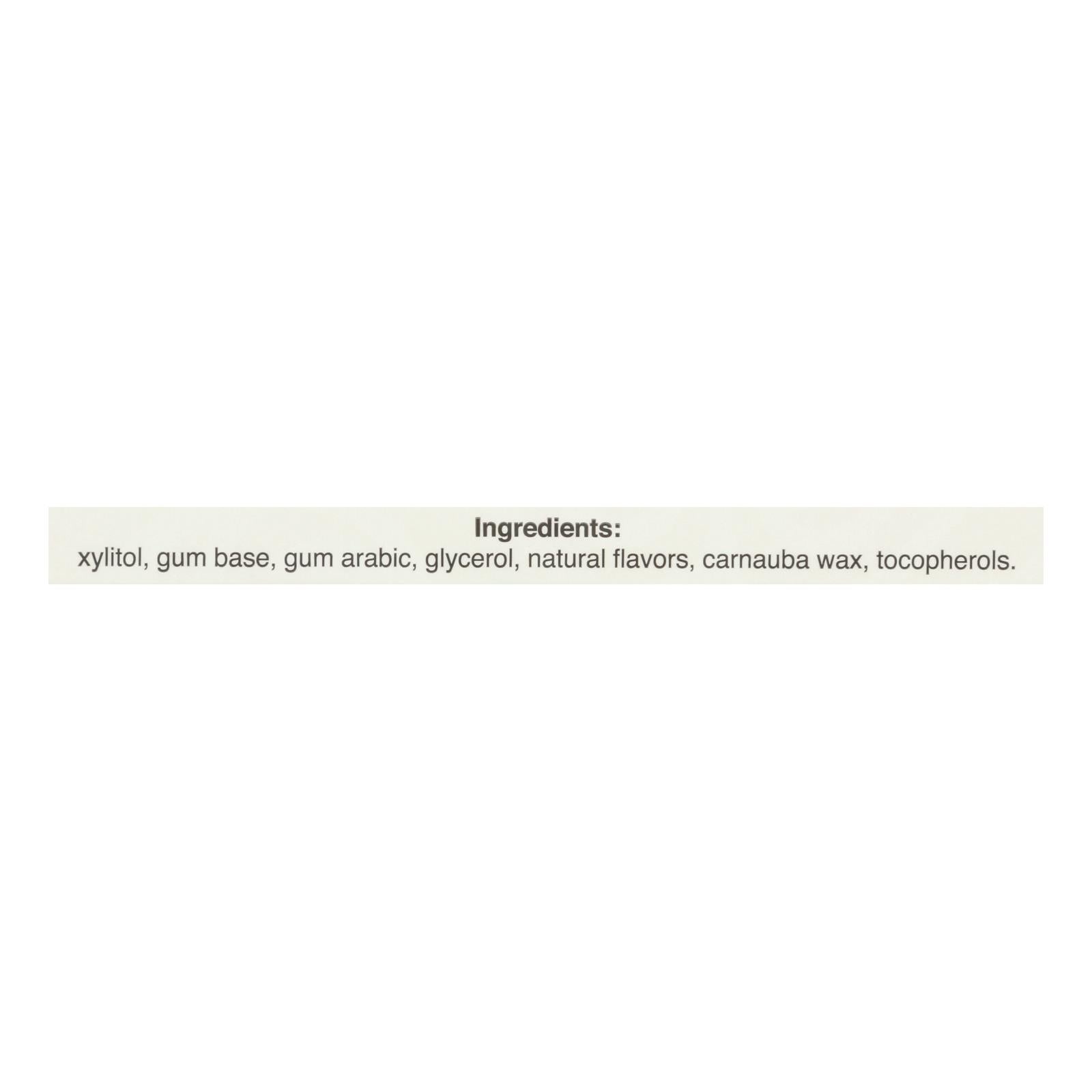 Pur Gum Cinnamon Aspartame Free, 9 Pieces x 12.6g (Case of 12)