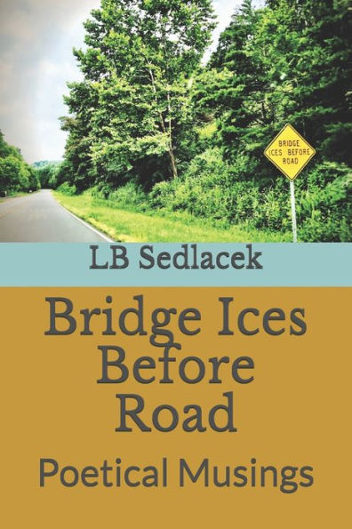 Bridge Ices Before Road: Poetical Musings