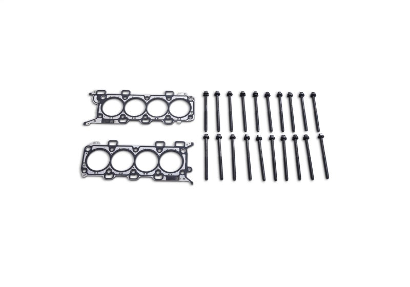 Ford Racing 18-21 5.0L Coyote Head Changing Kit - 12mm Head Bolts M-6067-M5018