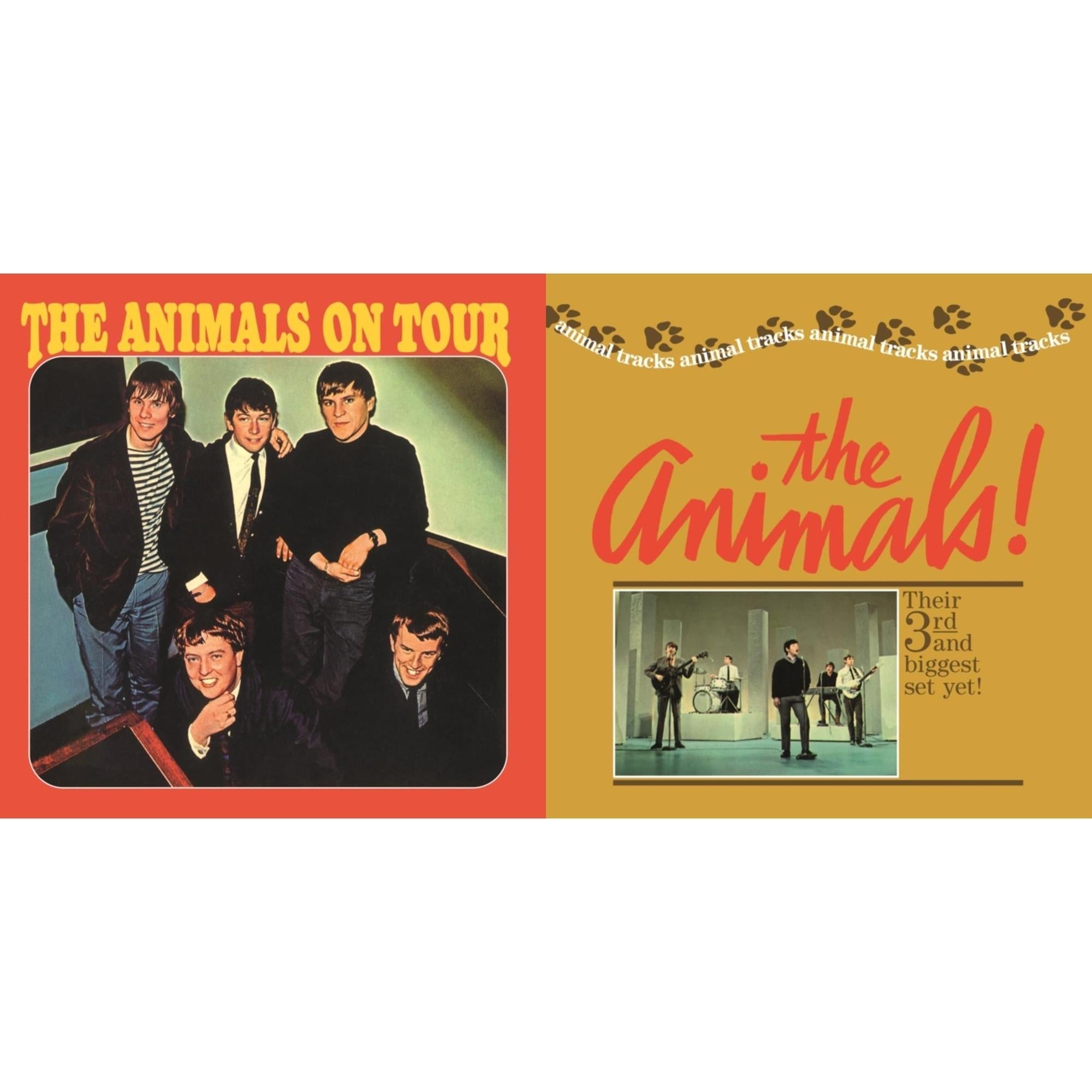 Animals On Tour & Animal Tracks