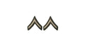 U.S. Army AGSU (E2) Private Chevron Sew-on Rank (male)
