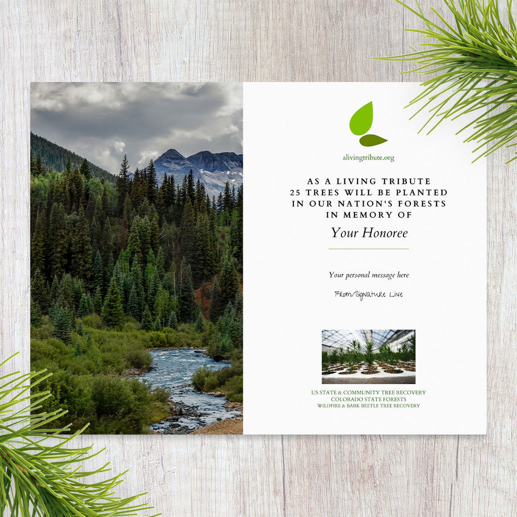 Plant a Tree for Someone in Colorado - Colorado Memorial Trees