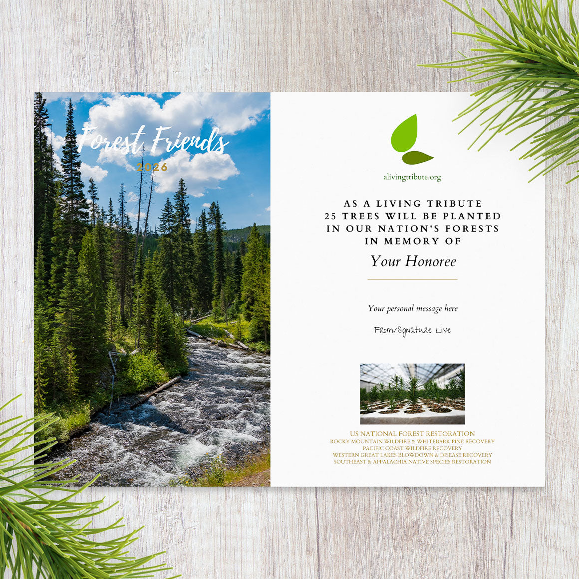 Forest Friends Tree Gift - A Living Tribute