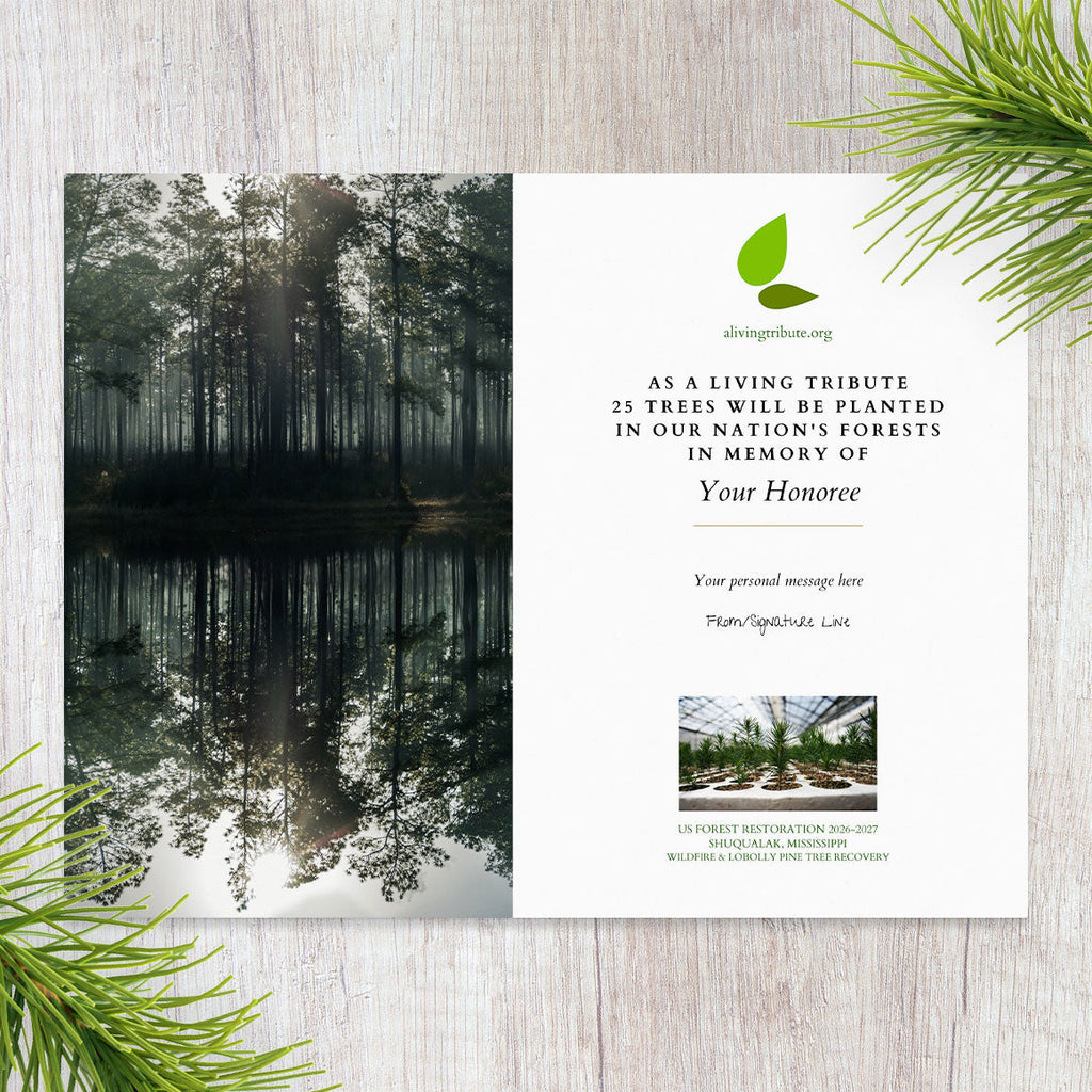 Plant a Tree for Someone in Mississippi - Memorial & Tribute Trees