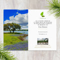 Plant a Tree for Someone in Texas - Memorial & Tribute Trees