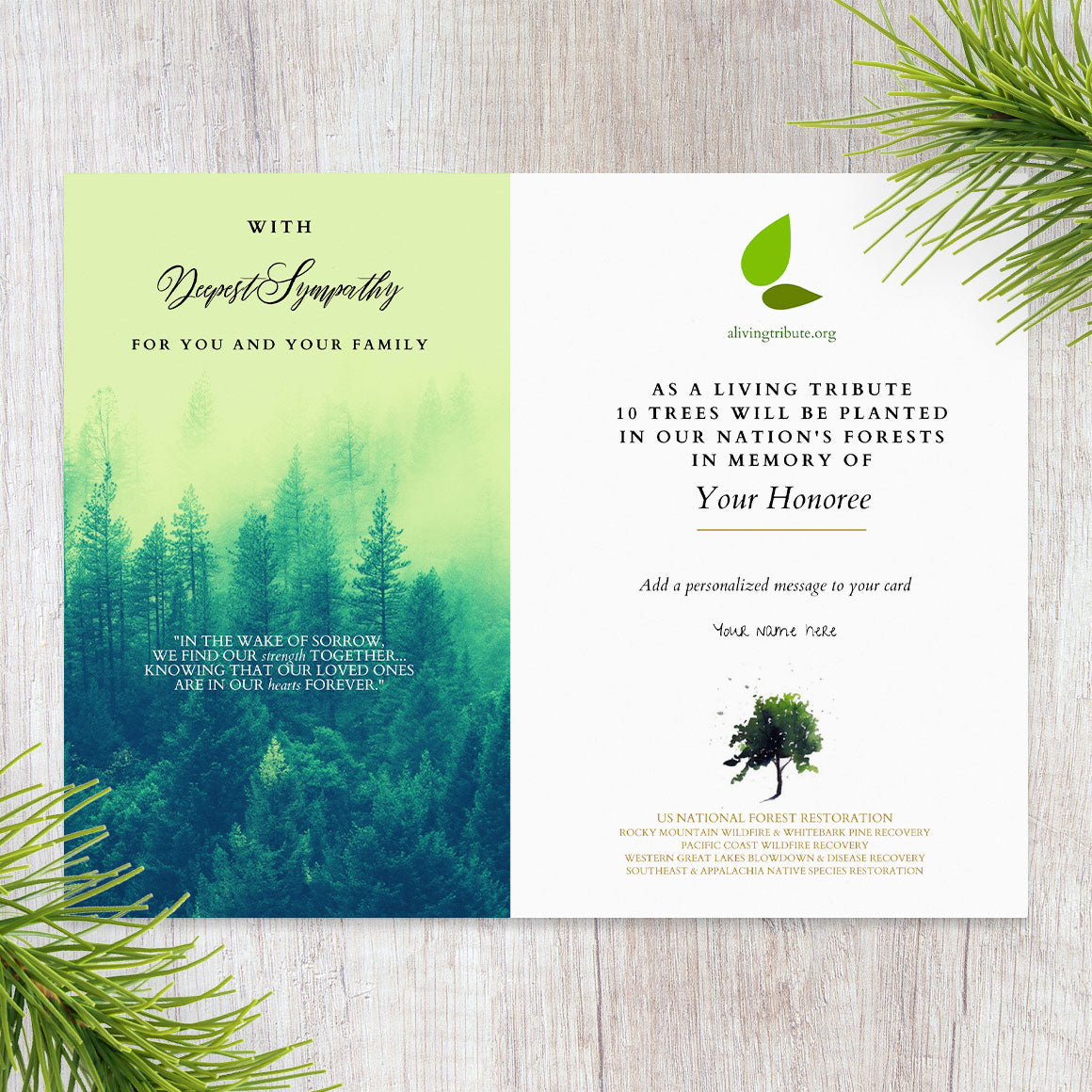 Send a Reforestation Sympathy Card - A Living Tribute®